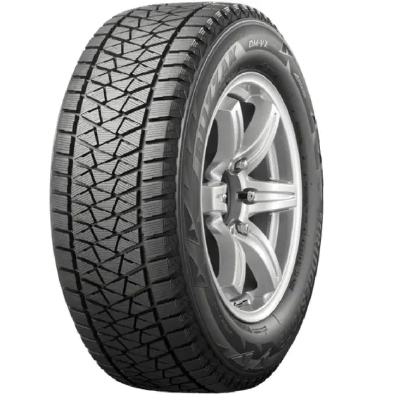 BRIDGESTONE DM-V2