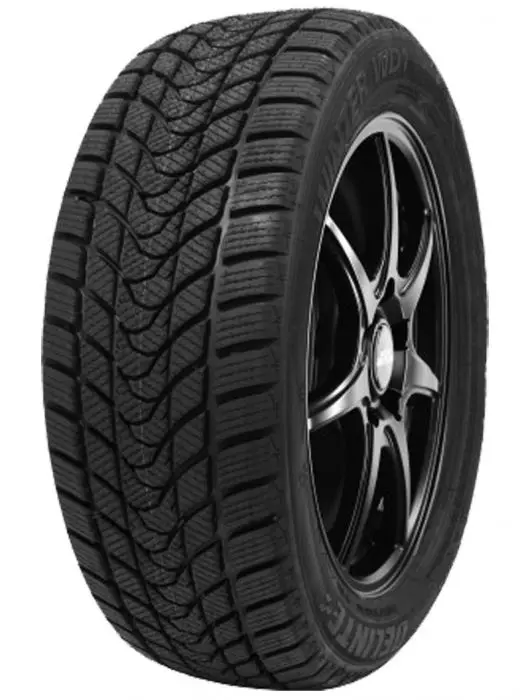 DELINTE WINTER WD1