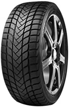 DELINTE WINTER WD6