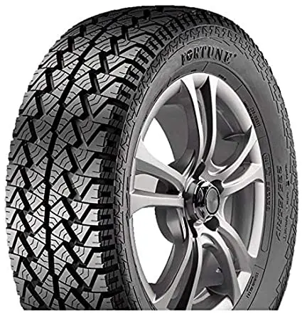 FORTUNE FSR302